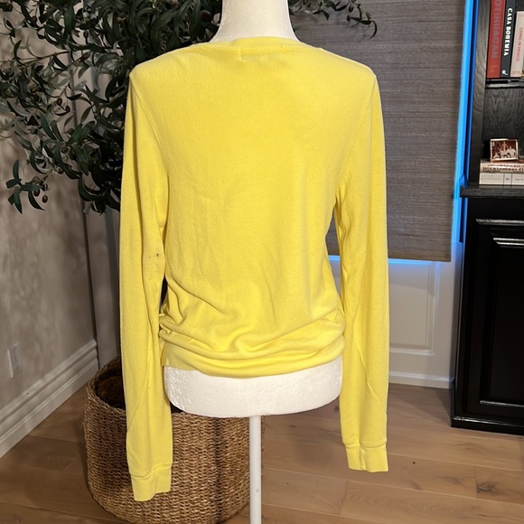 Wildfox Pineapple Graphic Oversized Pullover size XS - Picture 2 of 6